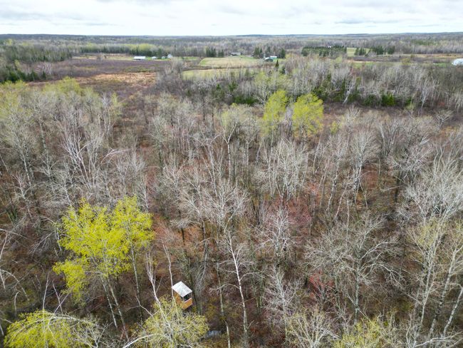 62126 Tamarack River Rd, Home with 0 bedrooms, 0 bathrooms and null parking in SANDSTONE MN | Image 10