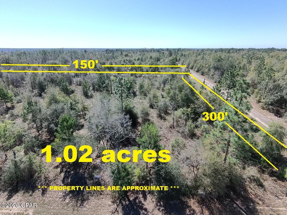 Land in Chipley 4