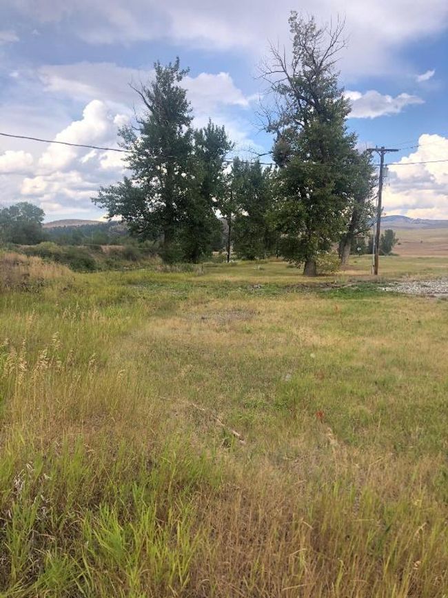 5 | Image 5