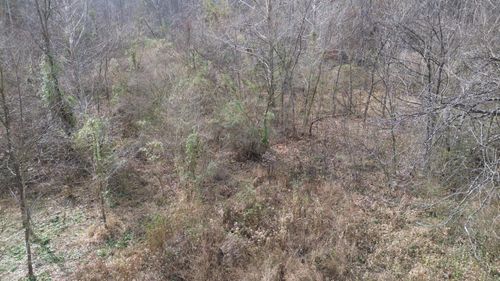 237 Meatscaffold Rd, Jackson, KY, 41339-8237 | Card Image