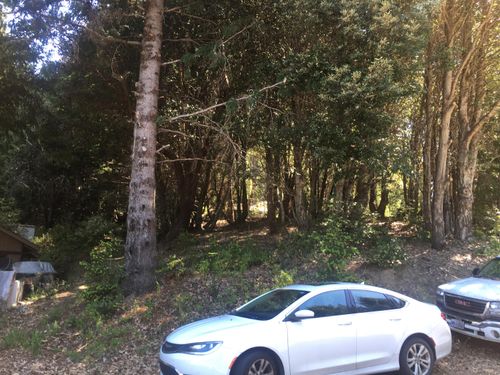 85 Carson Ct, Whitethorn, CA, 95589-9037 | Card Image