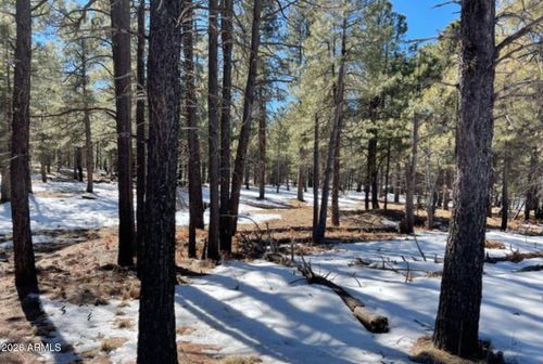 895-2692 State Route 260 Route, Forest Lakes, AZ, 85931 | Card Image