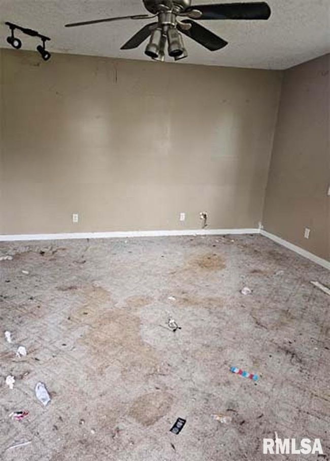 113 S Franklin St, House other with 5 bedrooms, 2 bathrooms and null parking in Camp Point IL | Image 4