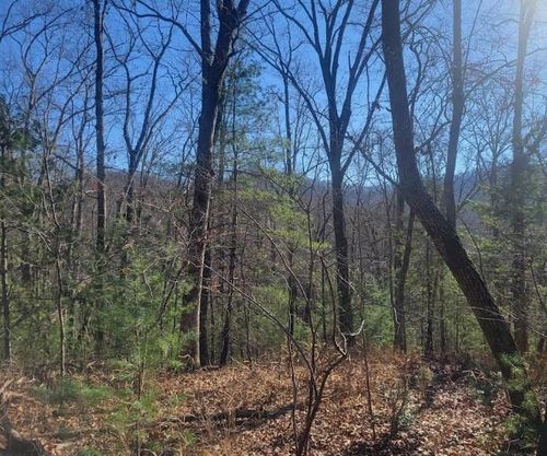 Lot 26 Country Side Ln, Hayesville, NC, 28904-7829 | Card Image