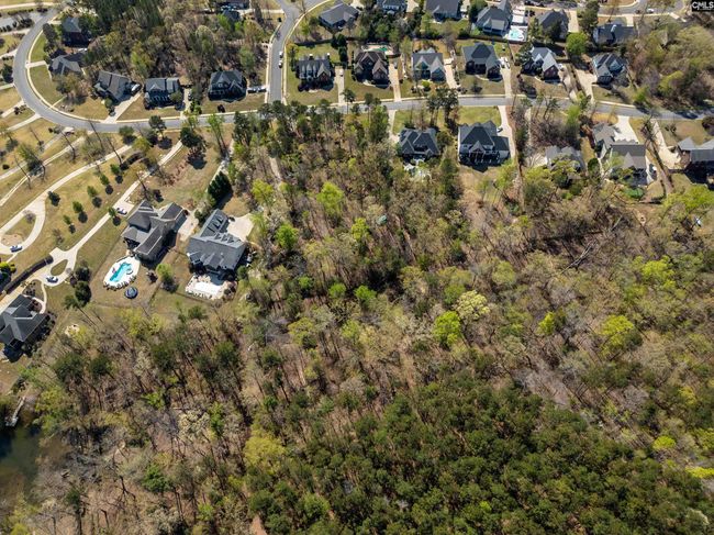 153 Pintail Lake Dr, Home with 0 bedrooms, 0 bathrooms and null parking in Gilbert SC | Image 8
