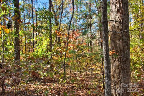 294-0 Bitteroot Cir, Rutherfordton, NC, 28139 | Card Image