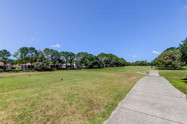 14466 Tamarind Loop, House other with 3 bedrooms, 2 bathrooms and null parking in SPRING HILL FL | Image 49