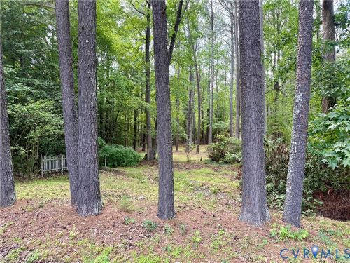 TBD Chester Dr, Disputanta, VA, 23842 | Card Image