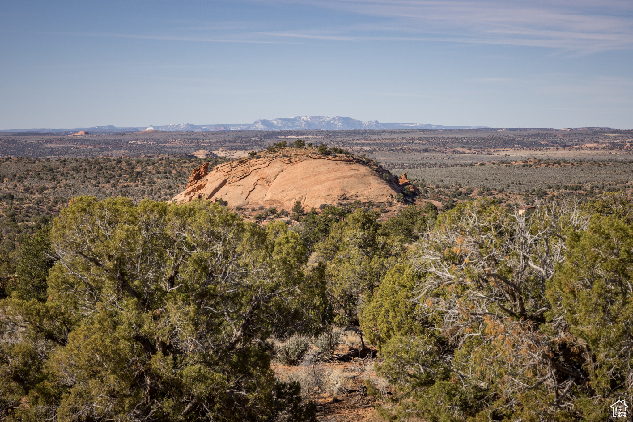 Land in Moab 2