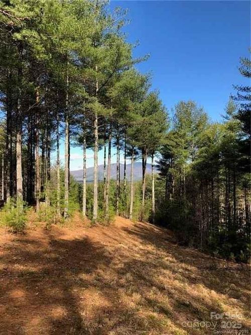 59-V/L Hunt Camp Drive, Nebo, NC, 28761 | Card Image