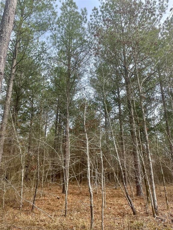 Land in Broken Bow 4
