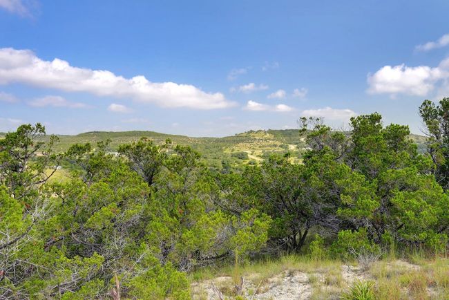 RMKS - 129 & 130 W Lynx Cv, Home with 0 bedrooms, 0 bathrooms and null parking in Blanco TX | Image 21
