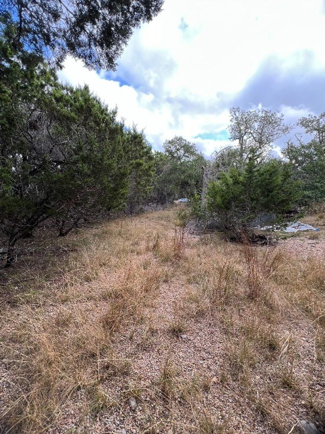 396 High Forest Dr, Home with 0 bedrooms, 0 bathrooms and null parking in Blanco TX | Image 4