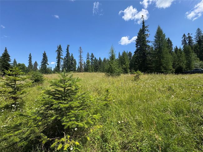 13643 Sundance Trail, Bigfork, MT 59911 | Image 12