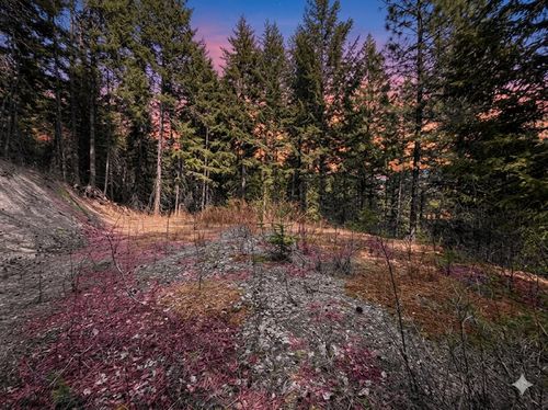 NNA Buck Creek Rd, Loon Lake, WA, 99148 | Card Image