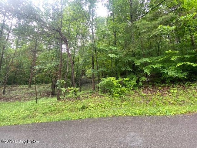 0 Waterview Ln, Home with 0 bedrooms, 0 bathrooms and null parking in Cub Run KY | Image 4
