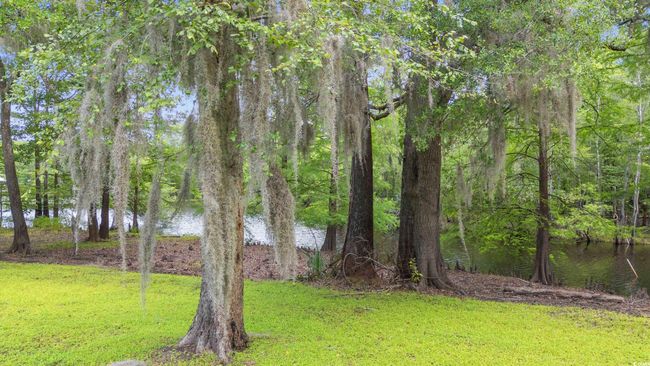 View of grassy yard with a water view | Image 31