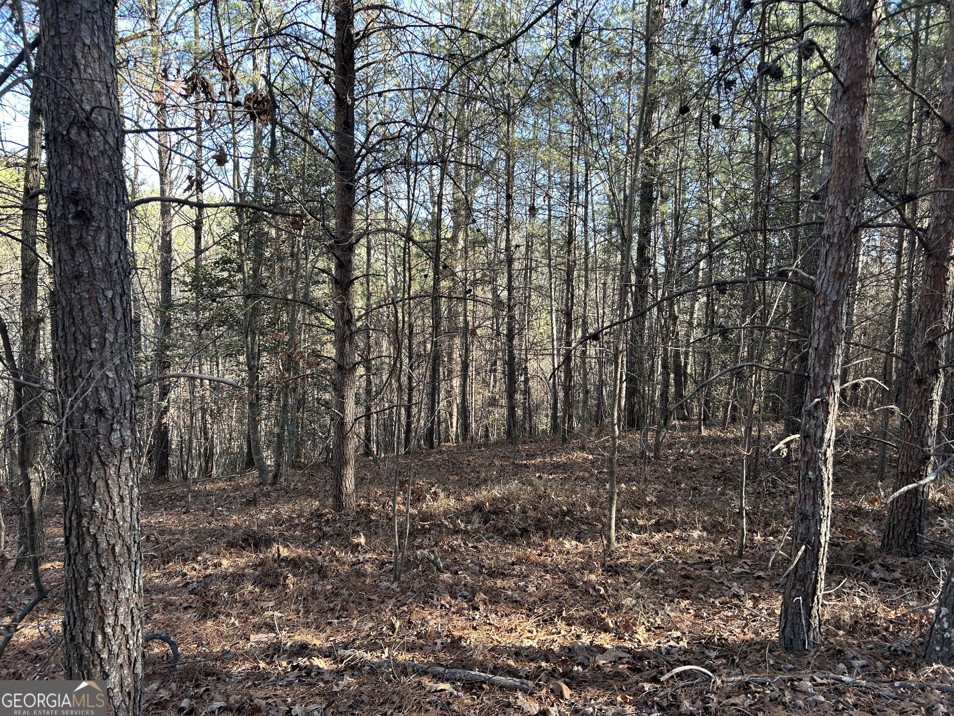 Land in Demorest 2