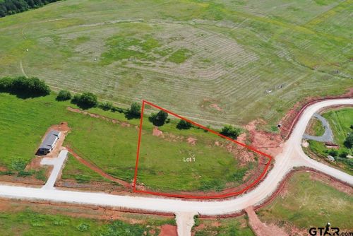 lot-1-16604 Caeli Heights Ct, Winona, TX, 75792-5506 | Card Image