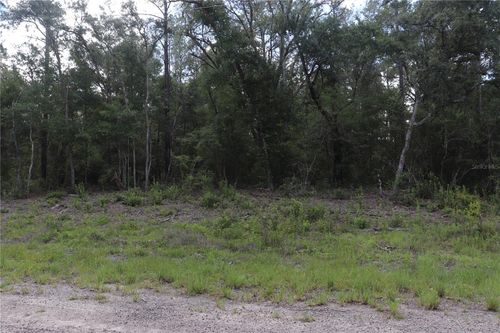 653 Vercelli Ln, DUNNELLON, FL, 34434-4407 | Card Image