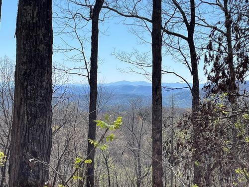 Lot 76 Turkey Pen Dr, Murphy, NC, 28906-4560 | Card Image