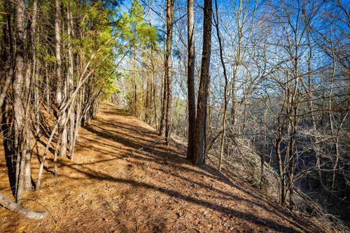 0 Grey Hawk Drive, Paron, AR, 72122 | Card Image