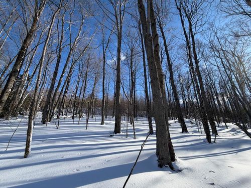 3 Highview Rd, Warren, VT, 05674 | Card Image