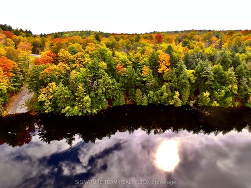 131 Shady Maple Rd, Burnstown, ON, K0J1G0 | Card Image