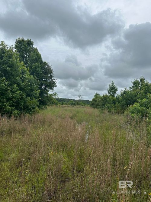 0 County Road 214, Selma, AL, 36701 | Card Image