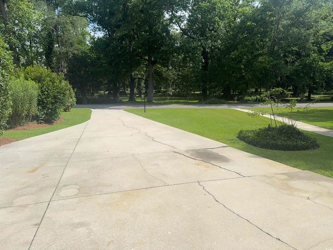 View of concrete driveway featuring view of scattered trees | Image 34