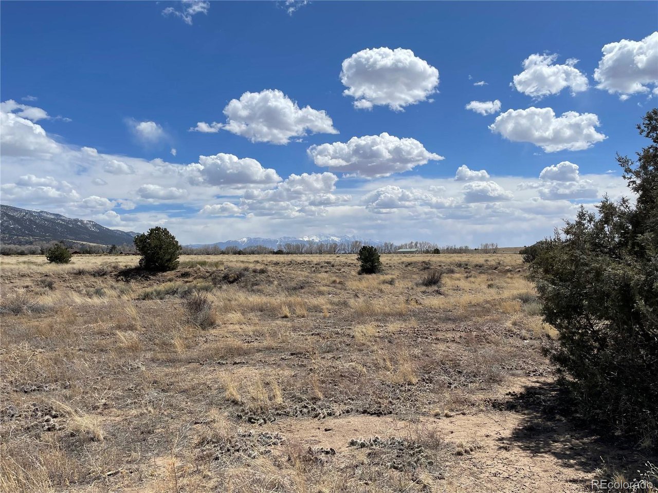 Land in Crestone 5