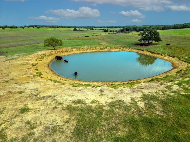 PASTURE AND POND | Image 5
