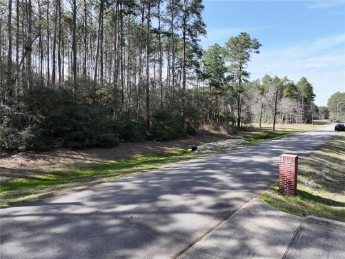 17424 Woodforest Dr, Waller, TX, 77484 | Card Image
