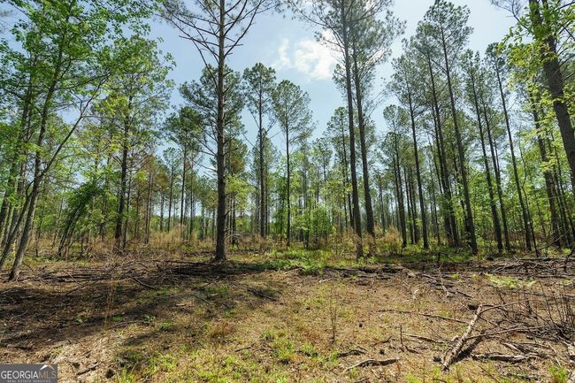 6053 Sun Hill Grange Rd, Home with 0 bedrooms, 0 bathrooms and null parking in Davisboro GA | Image 101