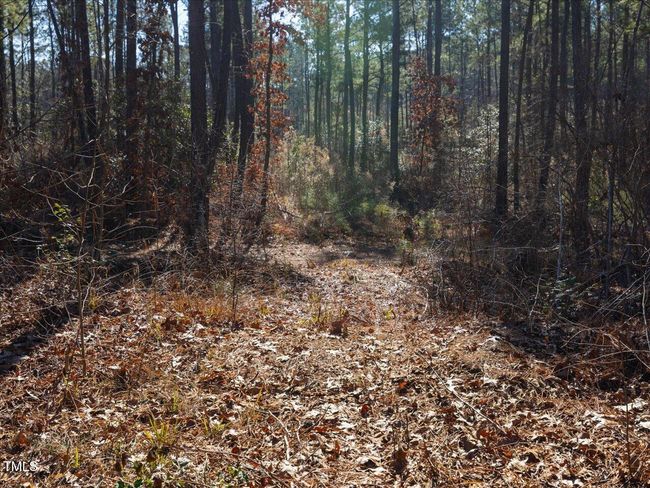25-025-Tract1-RobedoRd-MontgomeryCounty- | Image 18