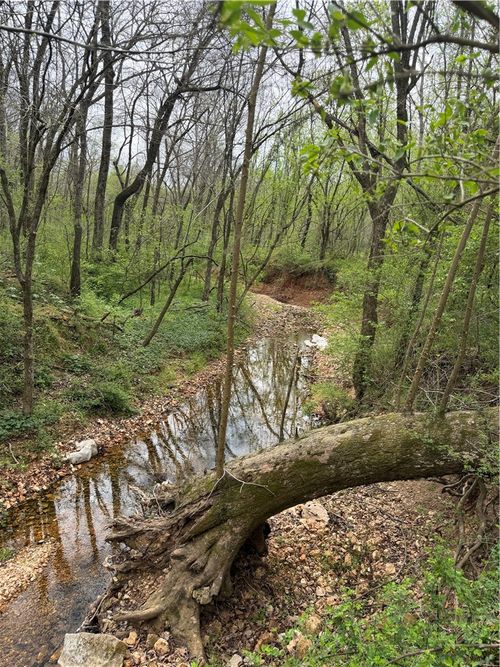 12782 Stoney Point Rd, Rogers, AR, 72758-7540 | Card Image