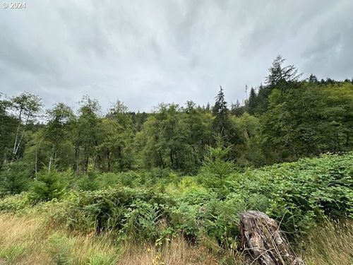 2 N Dubois Rd, Ariel, WA, 98603 | Card Image