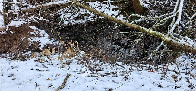 stream at the back of the property | Image 14