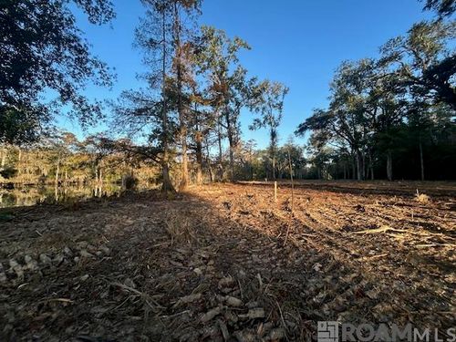 14293 Old River Rd, Maurepas, LA, 70449-5503 | Card Image