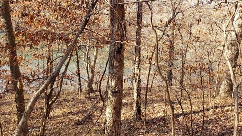 6004 Westshore Ct, Parkville, MO, 64152-3665 | Card Image