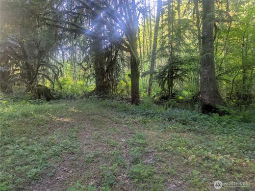 d3-19-63323 W Cascade Way, Marblemount, WA, 98267-2102 | Card Image