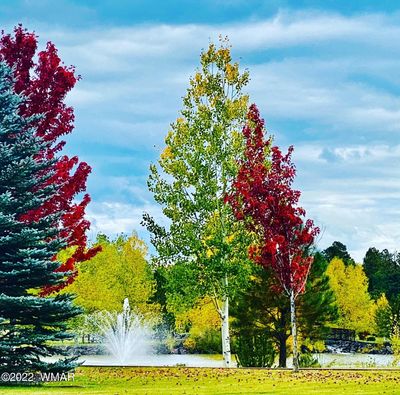 Fall At Sierra Springs Ranch | Image 1