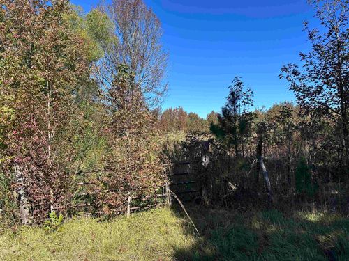 01 21st St, Haleyville, AL, 35565 | Card Image