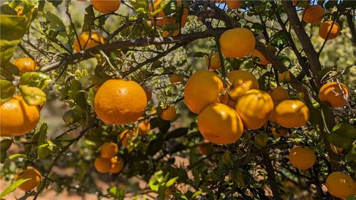 27 Via Escalon, Temecula, CA, 92590 | Card Image