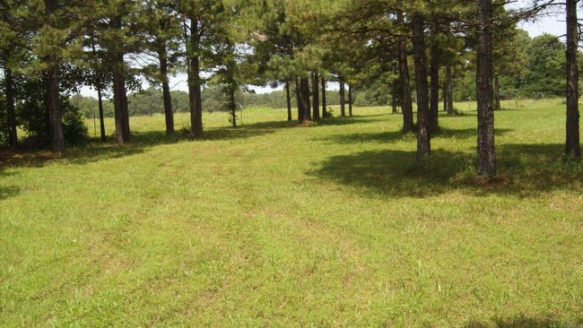 00 Morgan Rd, Home with 0 bedrooms, 0 bathrooms and null parking in Rose Bud AR | Image 5