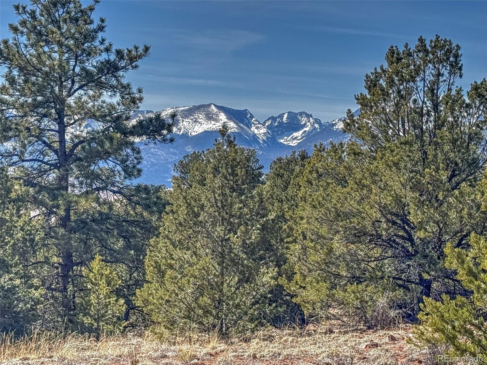 Land in Westcliffe 2