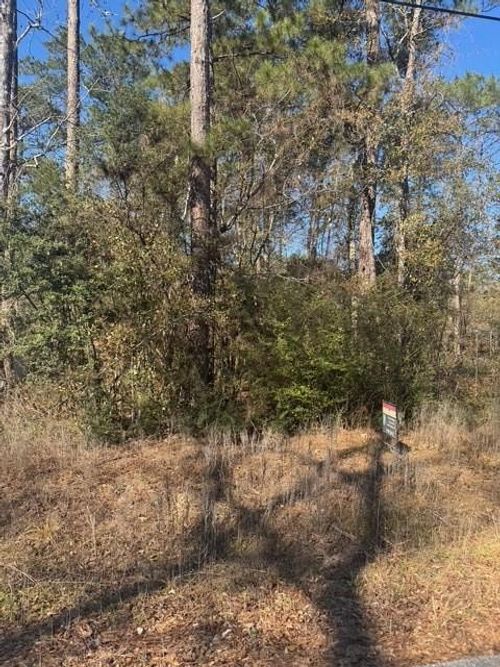 TBD Sycamore Dr, Montgomery, TX, 77356 | Card Image