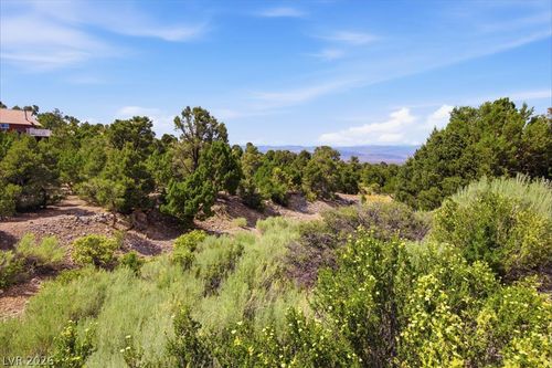 155 Oak Trail Circle, Cold Creek, NV, 89124 | Card Image