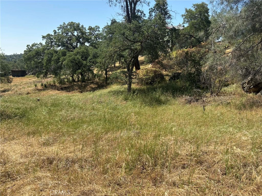 Land in Coarsegold 5