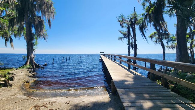 329 Palm Way, Home with 0 bedrooms, 0 bathrooms and null parking in Georgetown FL | Image 7